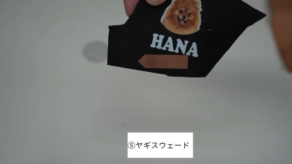 黒いヤギスウェードに犬のイラストと白いHANAの文字がプリントされている様子