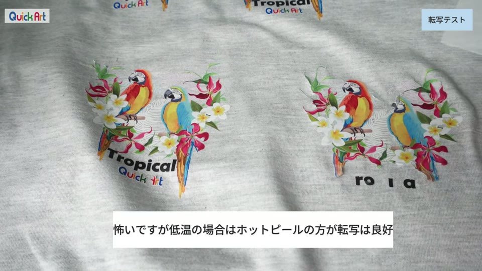グレーのTシャツに100度で転写した2つの鳥のイラスト。右側は1分冷まして剥がしたもので、文字の一部が欠けている。怖いですが低温の場合はホットピールの方が転写は良好というテロップ
