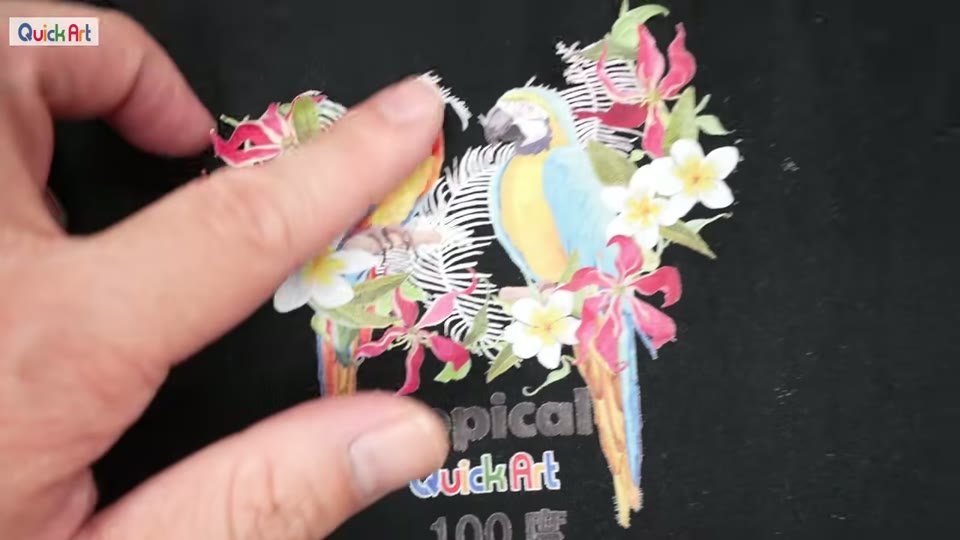 洗濯後の黒い綿Tシャツ。100度と書かれた鳥のイラストの左端を指でつまむと剥がれている