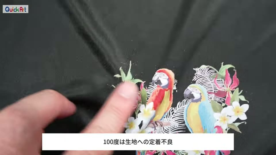 洗濯後の黒いポリエステルTシャツに転写した鳥のイラストを指で確かめている様子。100度は生地への定着不良というテロップ
