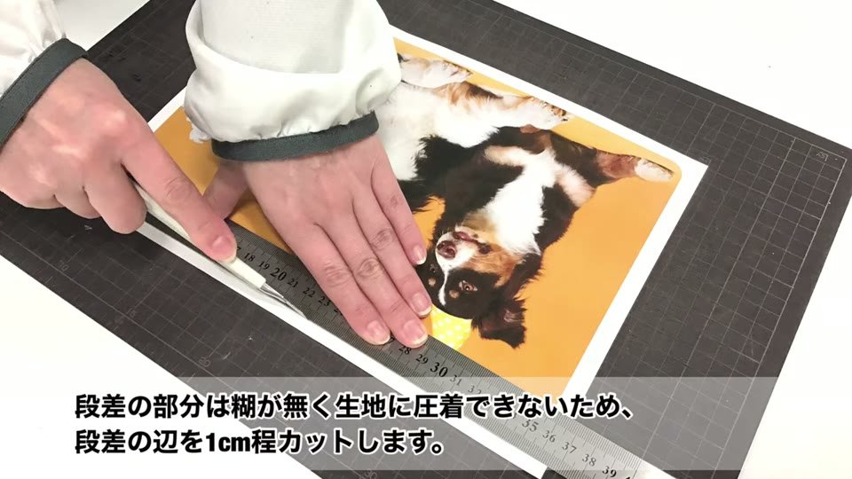 WHS-SOFTに印刷した犬の写真の端を、定規を当ててカッターで切っているところ