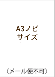 A3ノビサイズ　DM便配送可