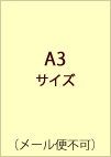 A3サイズ