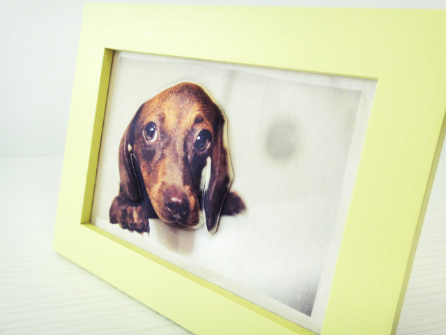 ふくらんだプリントができます